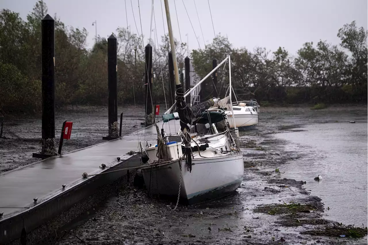 Video of Florida man swimming inside his flooded home viewed 1M times