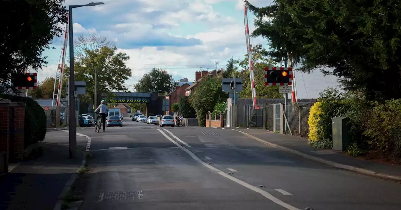 Man dies after being hit by train at crossing