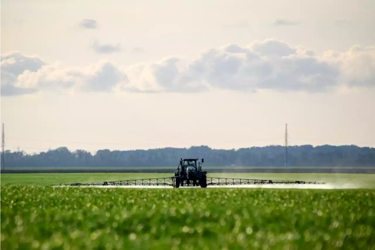 Ontario teen busted for cannabis, booze possession after attempting to steal tractor