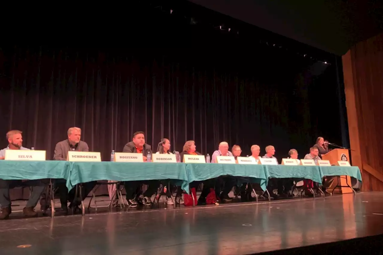 Prince George school trustee candidates tackle tough issues in forum