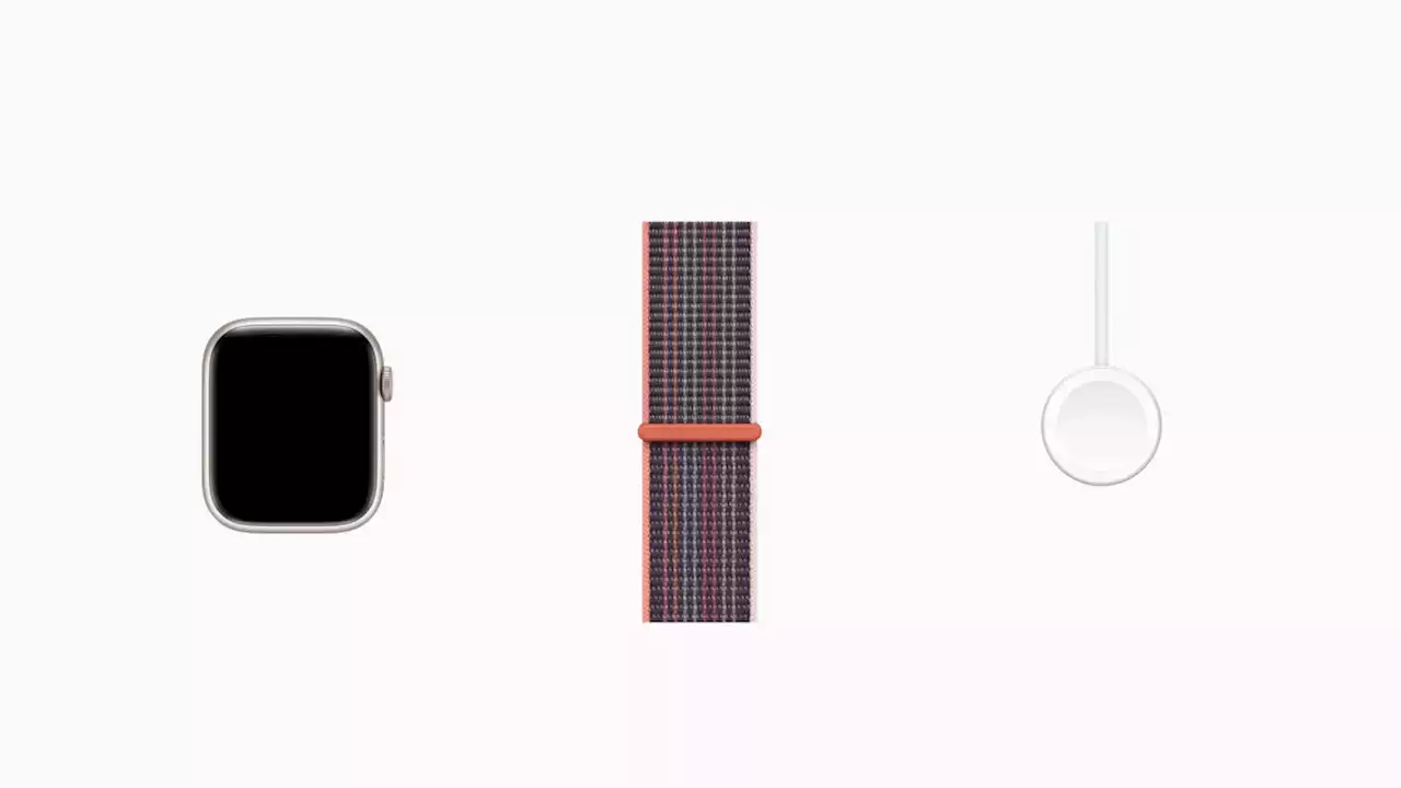 Apple Watch 8: What's in the box?