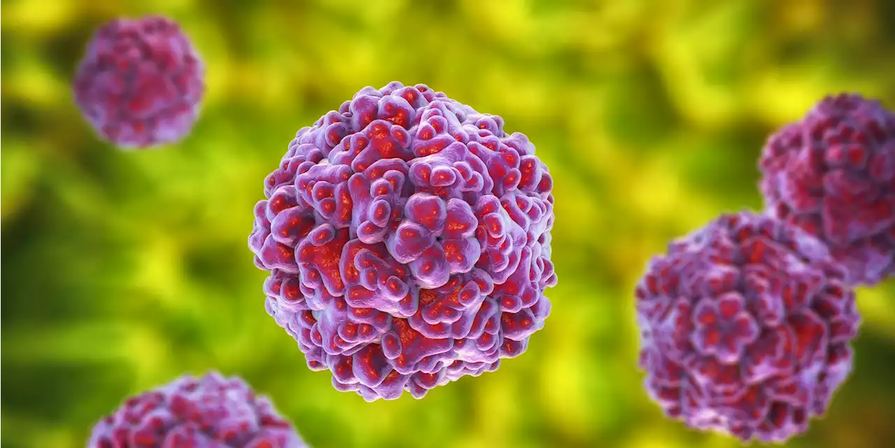 CDC Warns About Enterovirus D68, the Virus Linked to Paralysis in Kids