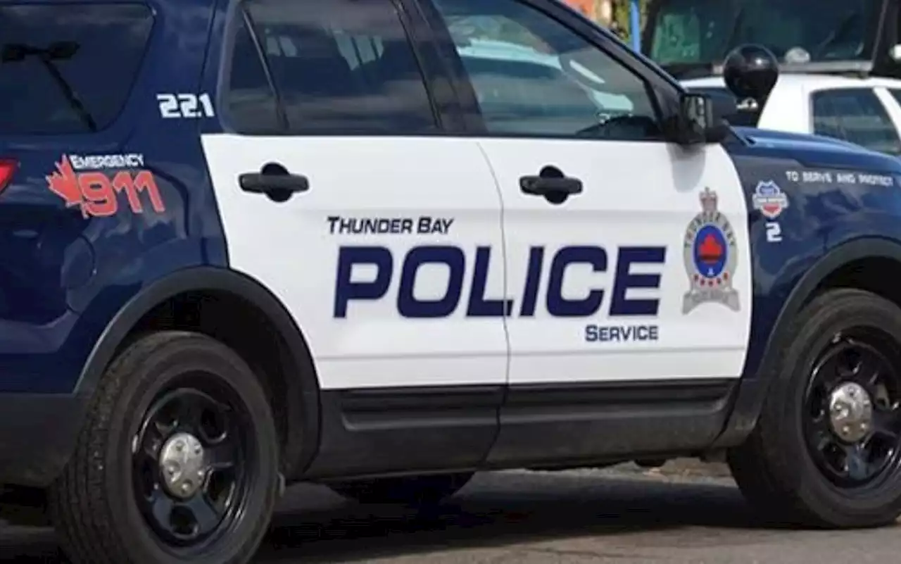 Thunder Bay teen arrested over hate-motivated assault