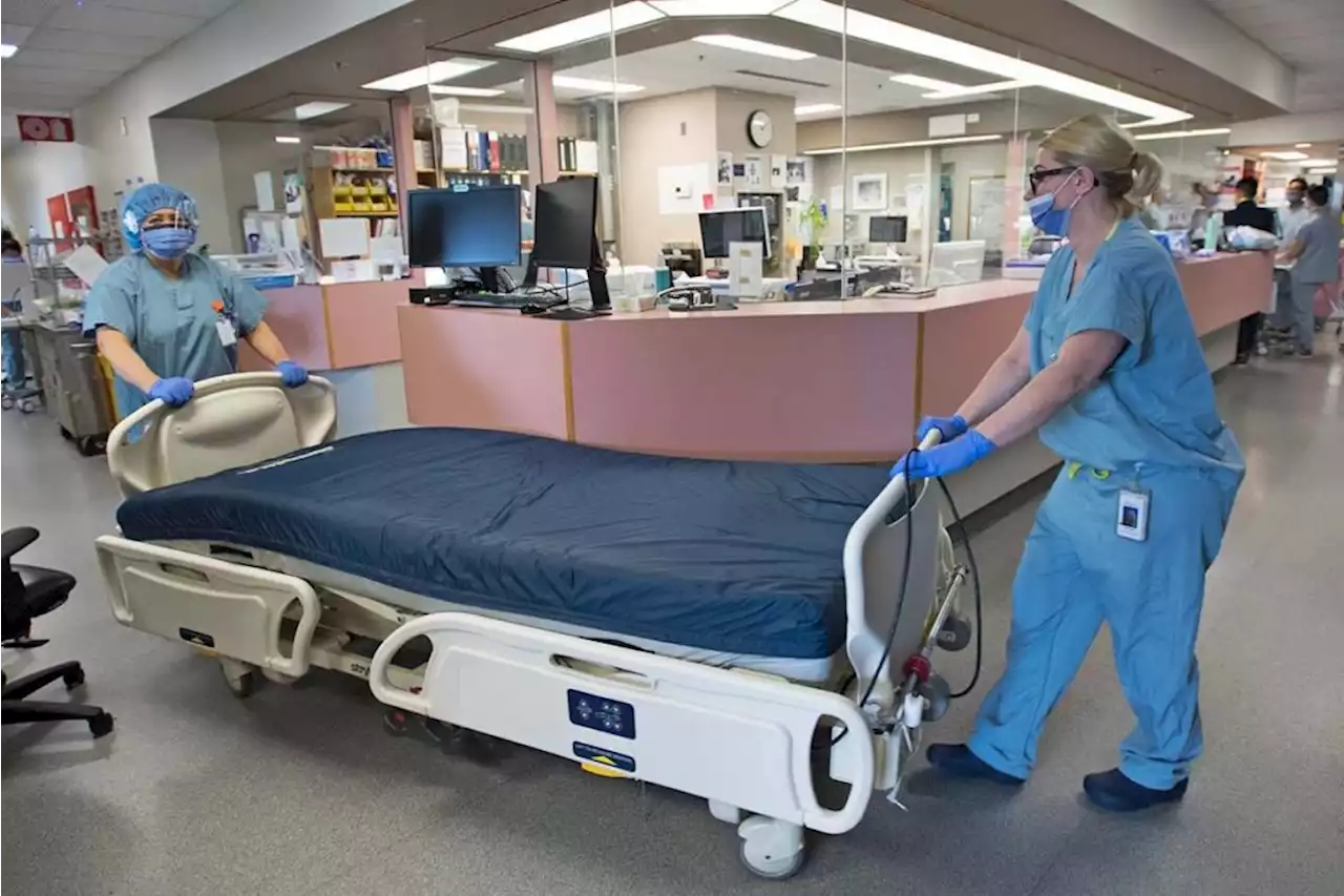 B.C. may move hospital patients to free up beds ahead of projected COVID, flu surge – Terrace Standard