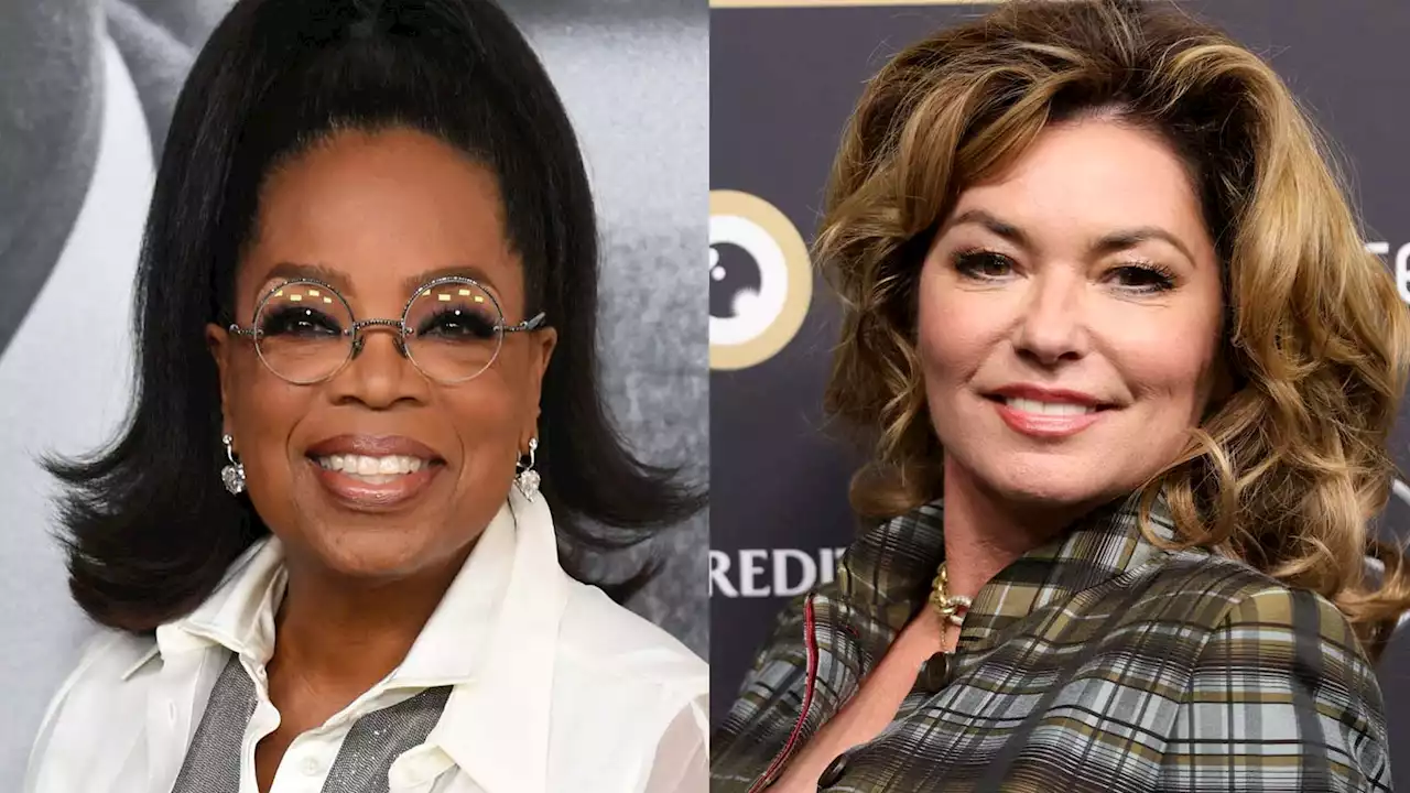 Shania Twain Recalls Dinner With Oprah Winfrey That 'Went Sour': 'There Was No Room for Debate'