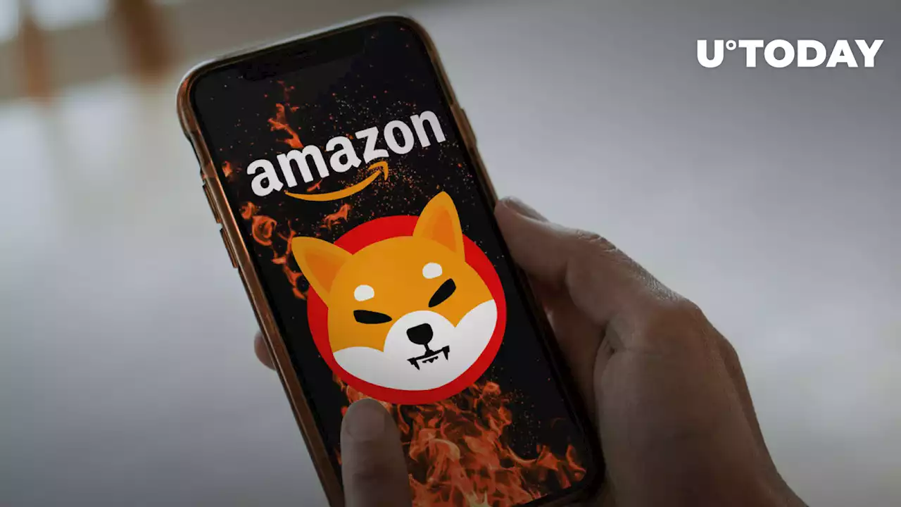 SHIB Burns Via Amazon Now Available in Brand New Way: Details