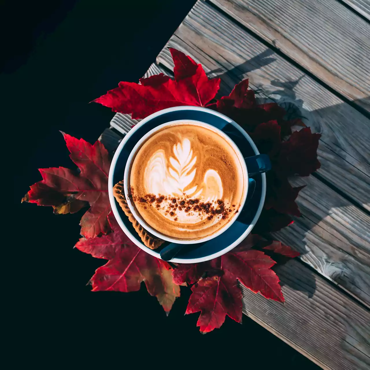 Cozy Fall Coffee and Tea Drinks Around DC