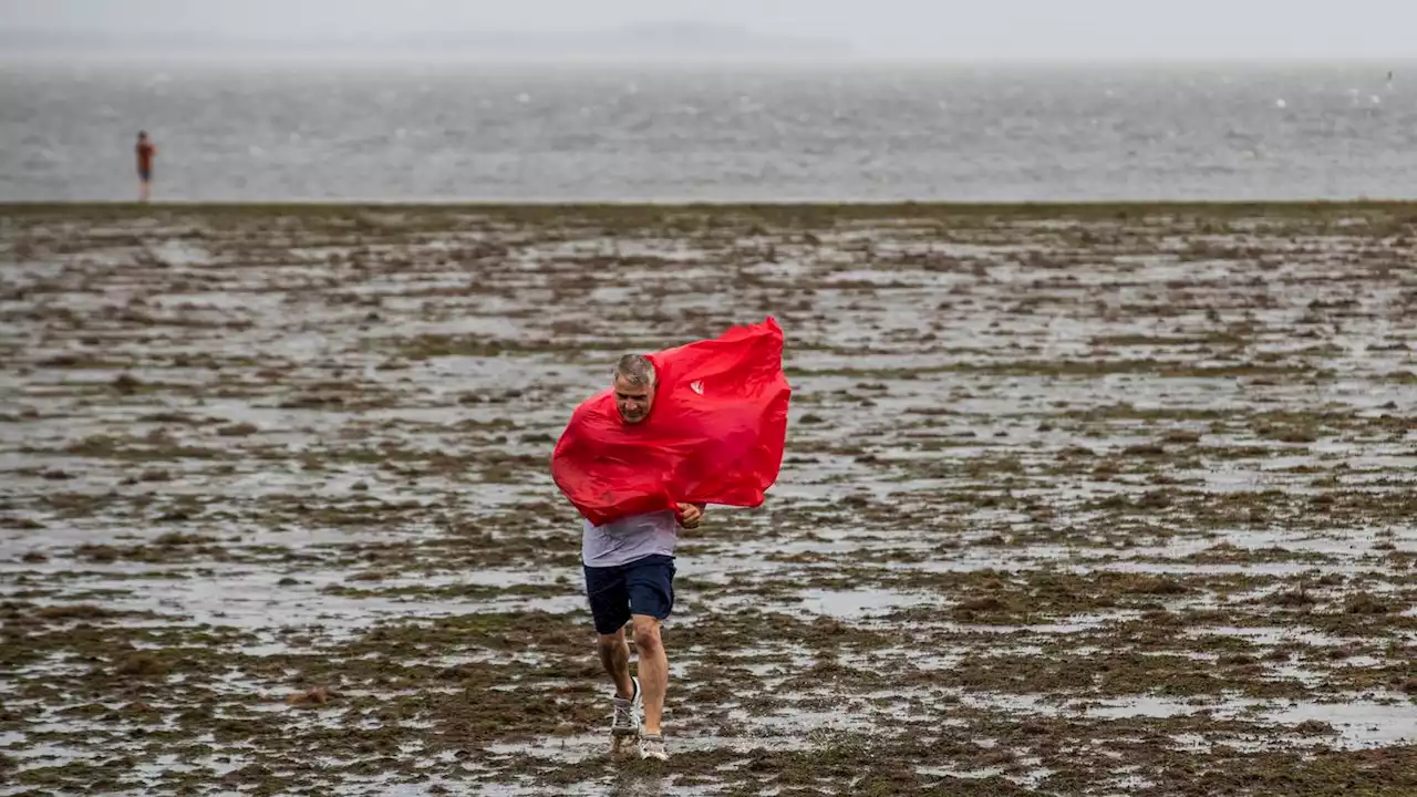 Water drains from Tampa Bay from Ian's winds, then refills