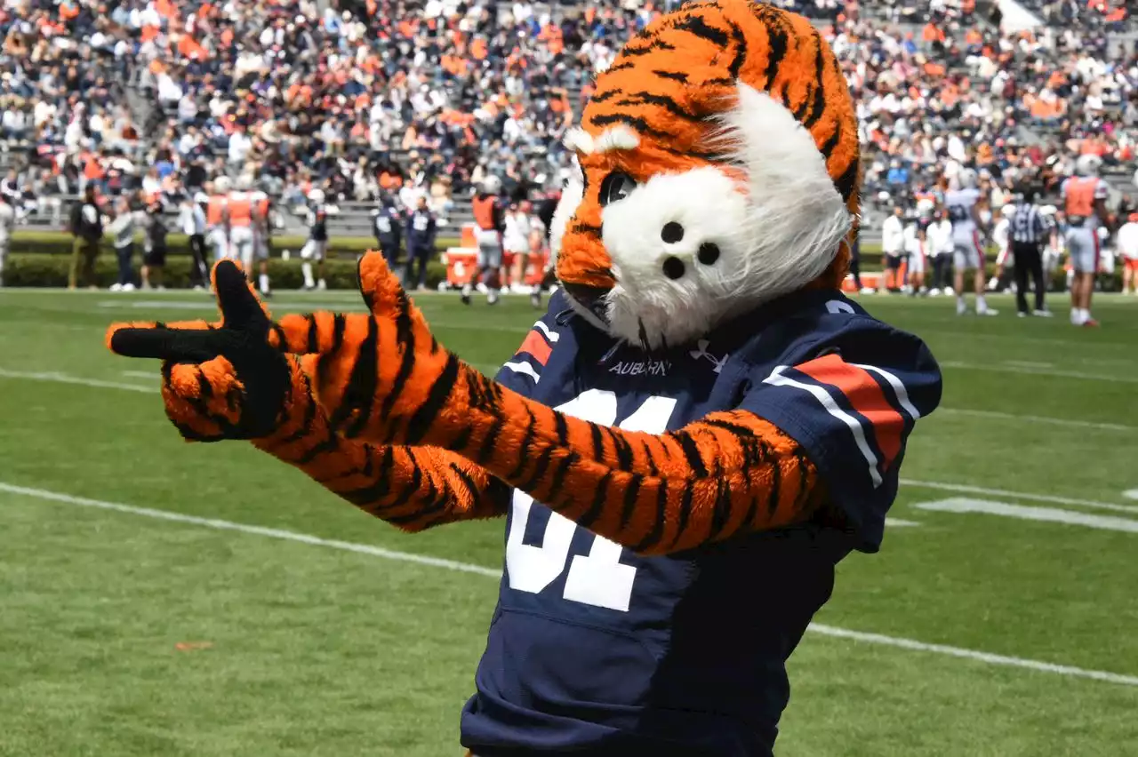 Auburn football fan guide for season opener against Mercer