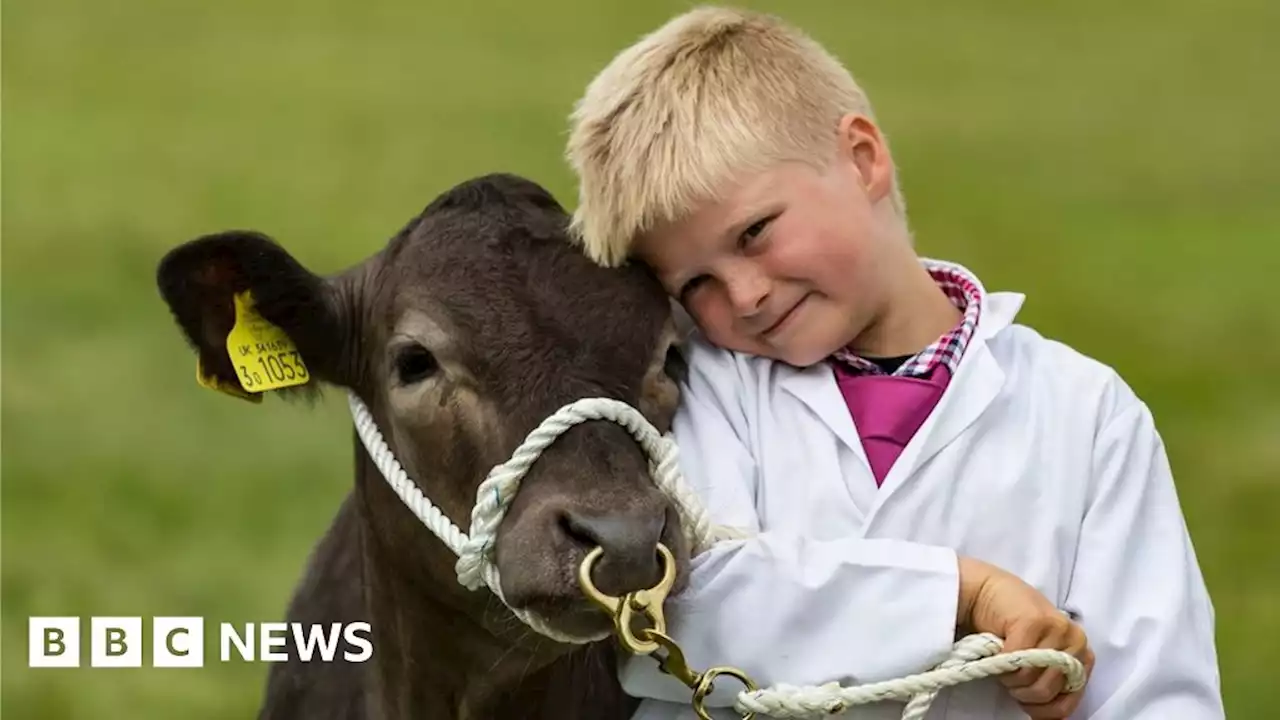 Dorset County Show returns after two-year pandemic break