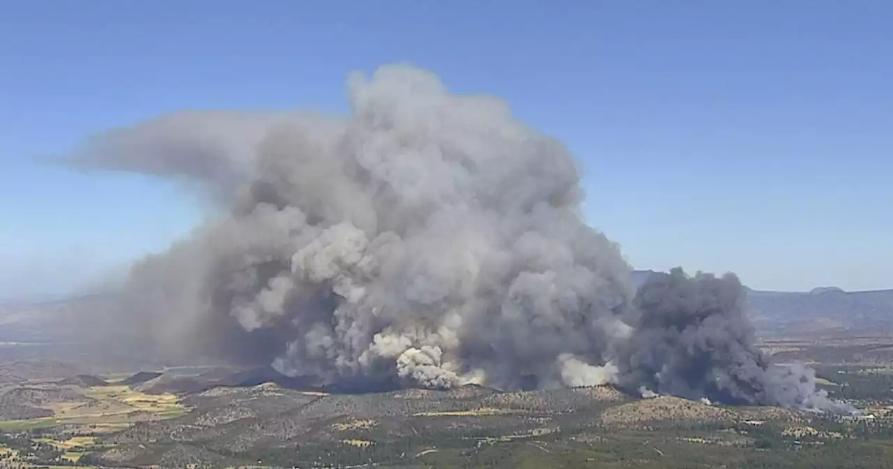 Thousands ordered to evacuate after large wildfire erupts in Northern California