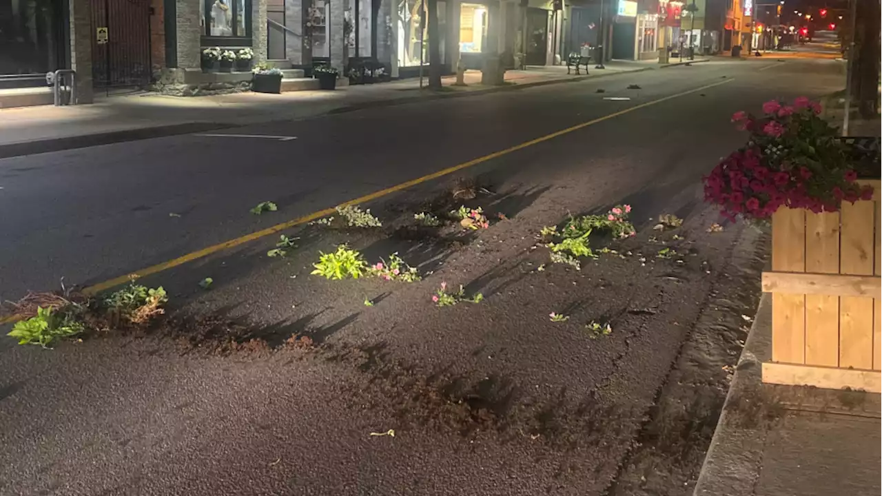 Man charged in 'senseless' Pembroke, Ont. flower box vandalism