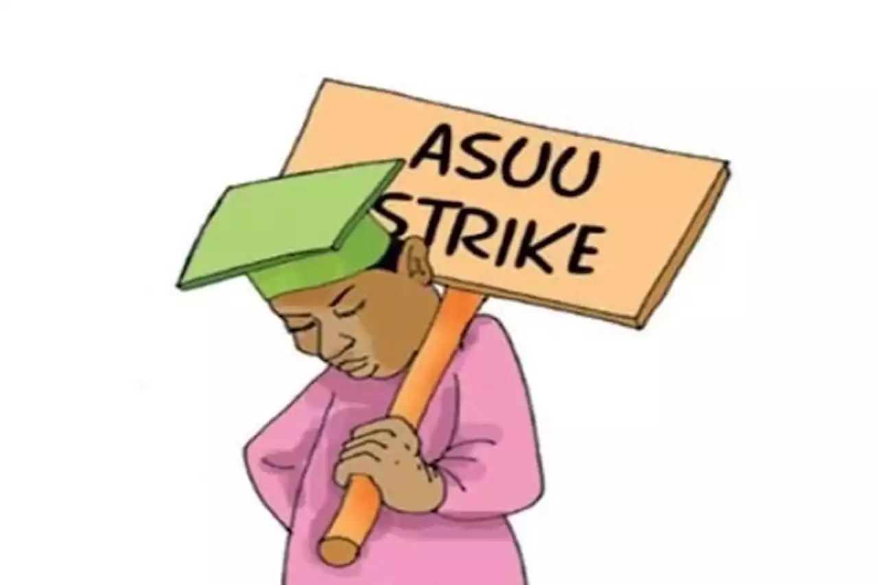 ASUU: Strike doesn't yield results, universities should charge tuition fee — Expert