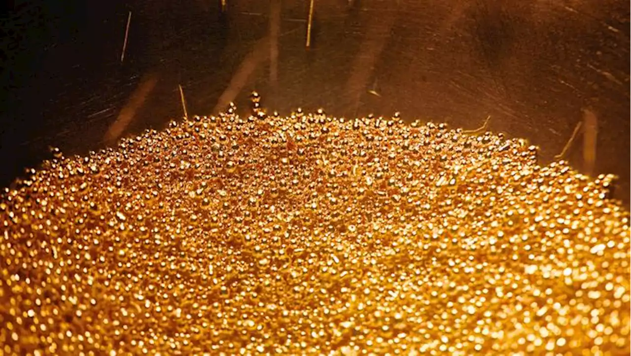 Gold Price Forecast: Gold Holds Support as Silver Slides to Two-Year Lows