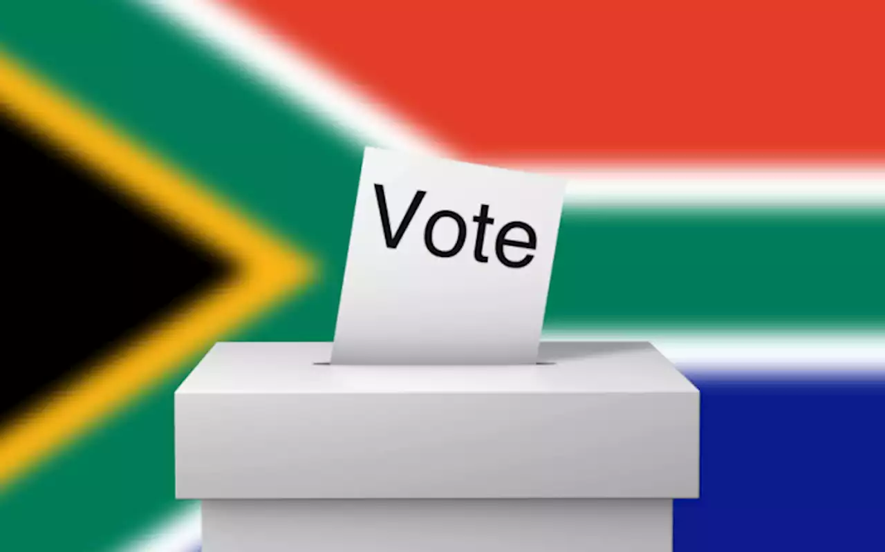 Electoral reform alone will not fix values crisis in SA - political analyst