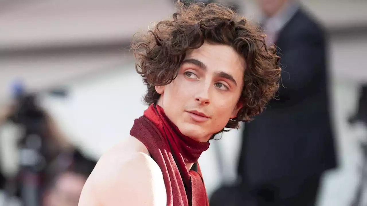 Timothée Chalamet zieht in Venedig im rückenfreien Top alle Blicke auf sich