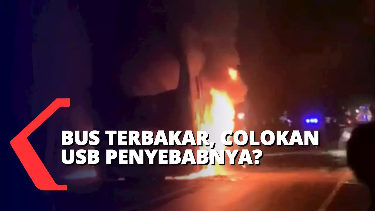 Bus Terbakar di Jalur Pantura Situbondo, Colokan USB di Kabin Penyebabnya?