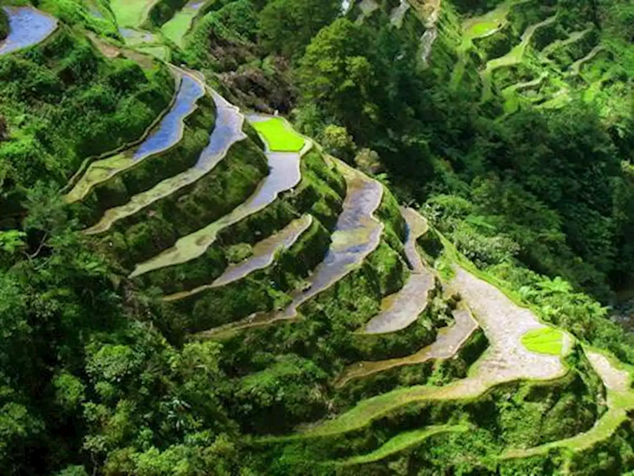 Palace declares Sept. 13 holiday in Cordillera region