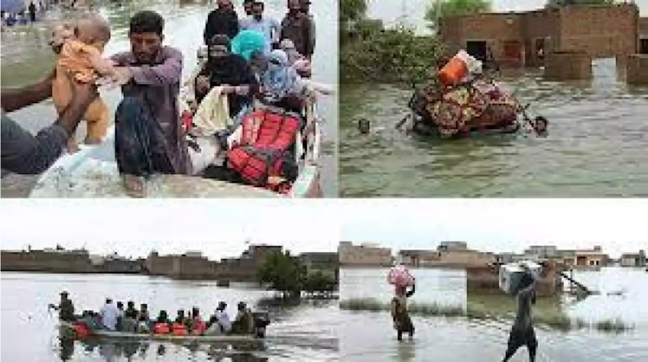 سندھ میں وبائی امراض پھیلنےلگے
