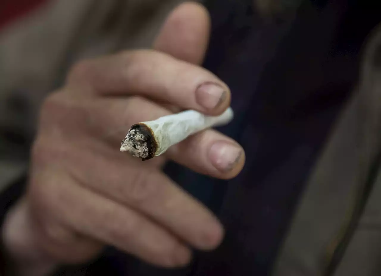 Studie om cannabisbrukere overrasker forskerne