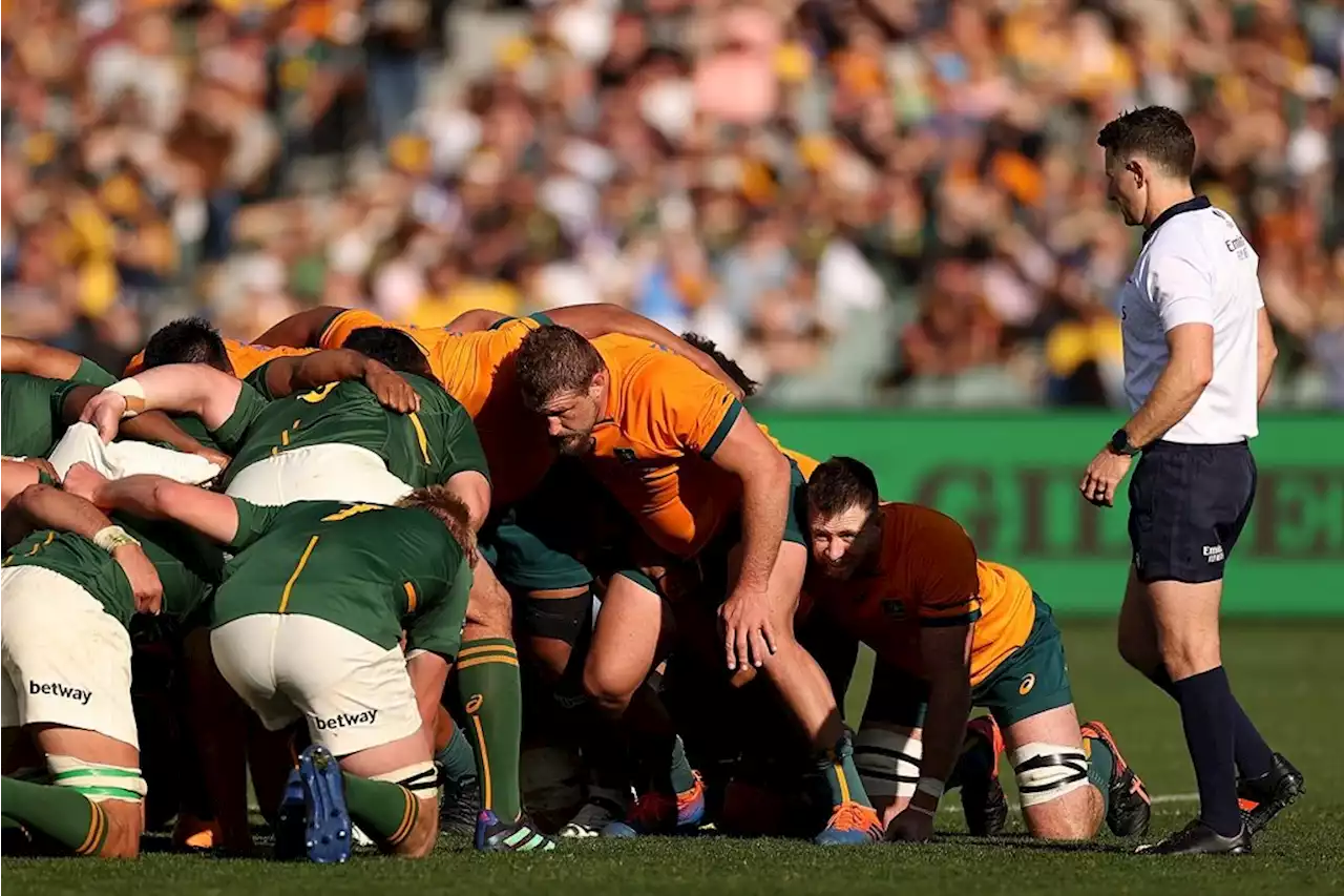 LIVE | Springboks v Australia | Sport