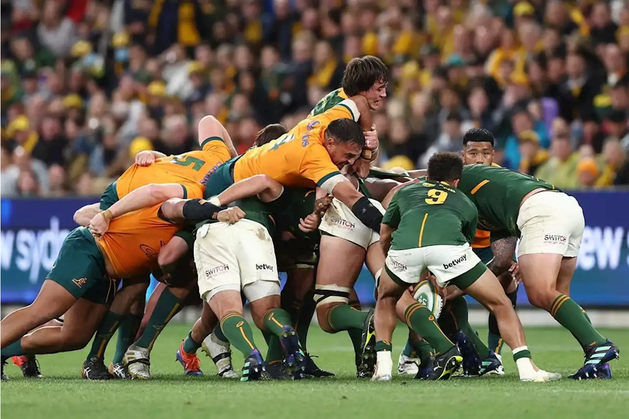 LIVE | Four-try Springboks bounce back emphatically to beat Wallabies in tasty rematch | Sport