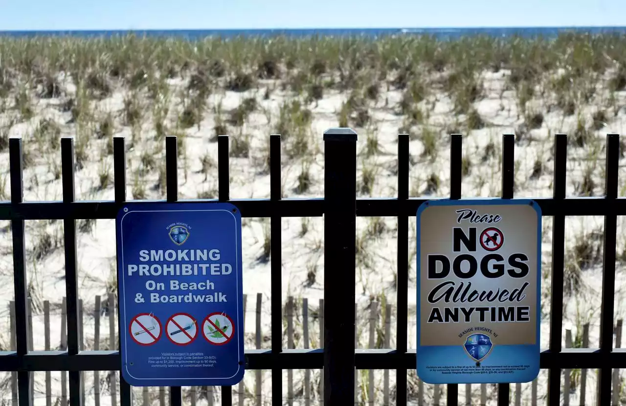 Some Shore towns say marijuana complaints are up at the beach.