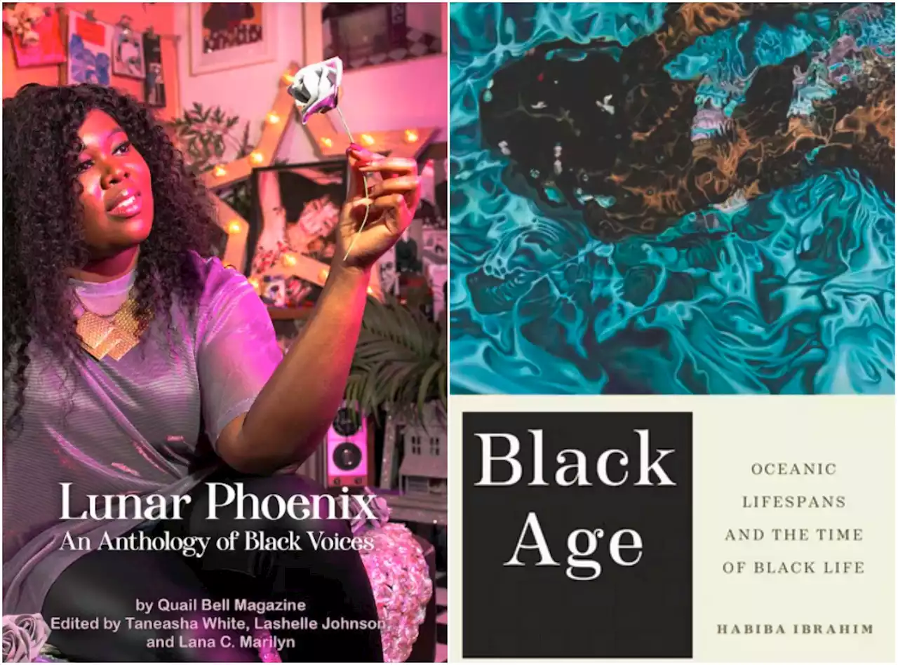 Two books that explore the depth of Black life - New York Amsterdam News