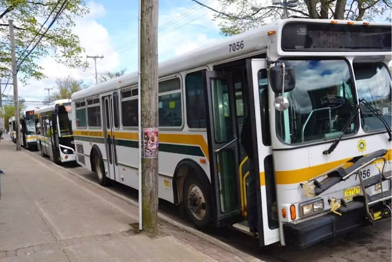 Expanded Transit Cape Breton service to Sydney River announced | SaltWire