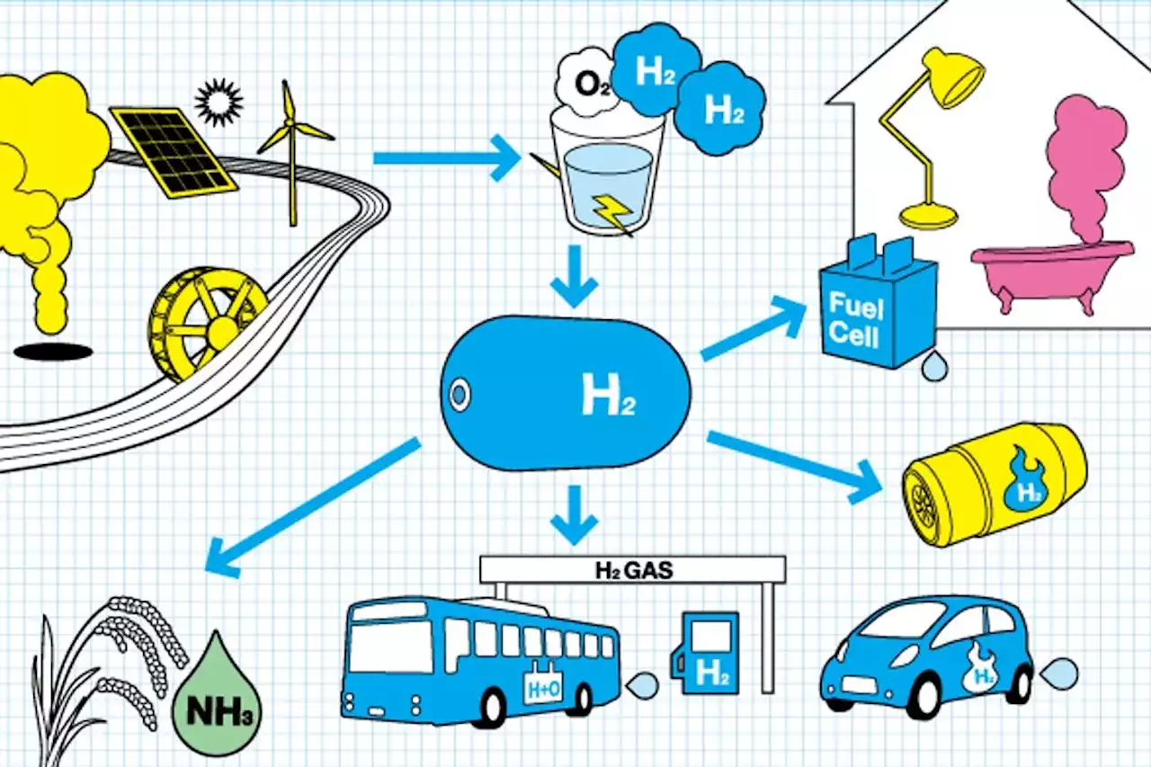 LETTER: Green hydrogen opportunity knocks for N.L. | SaltWire