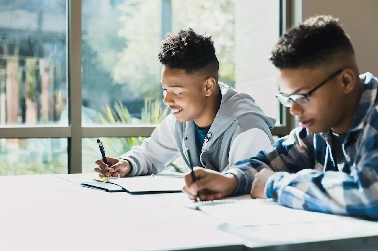 AP African American Studies Class Will Be Offered For The First Time This Year