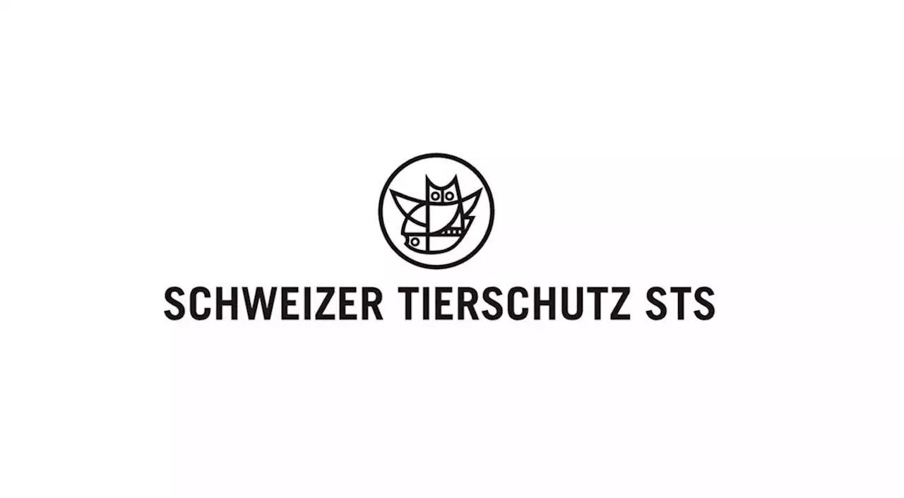 «Tiere bezahlen den Preis für AP22+» - Schweizer Bauer