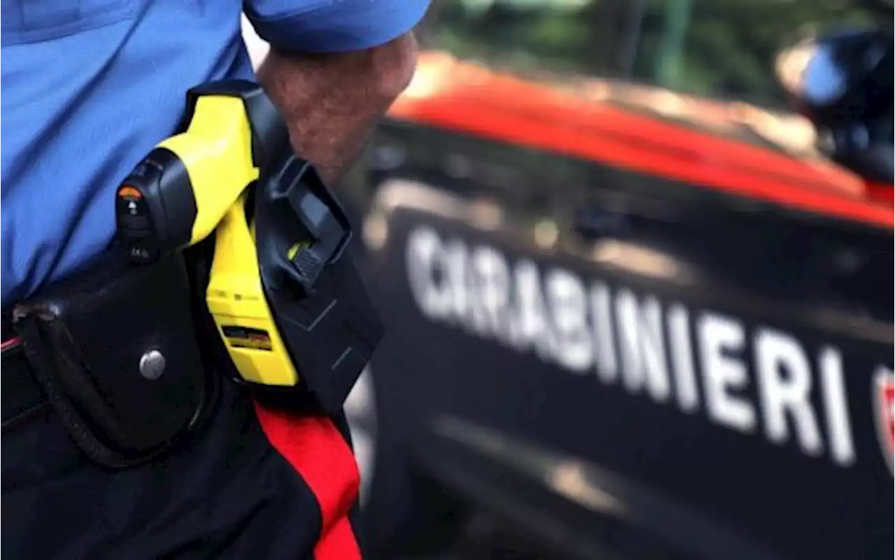 Monza, rapine su treni in Brianza: sgominata da carabinieri baby gang