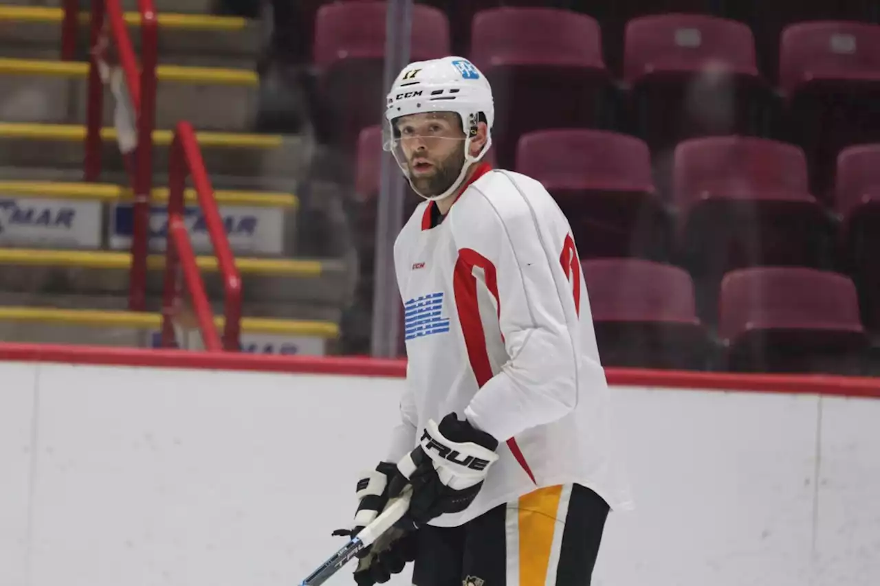 NHL pros enjoy chance to work with young Greyhounds