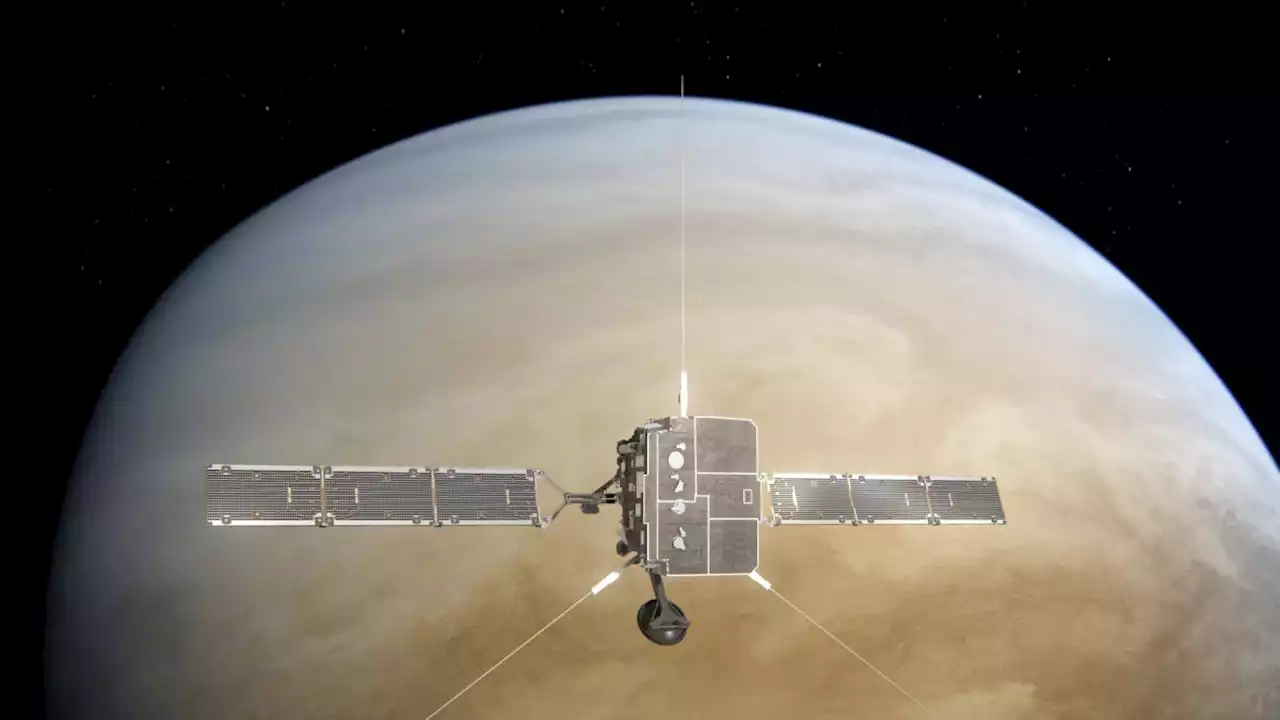 Solar Orbiter to look at Venus' magnetic field as it swings by the planet