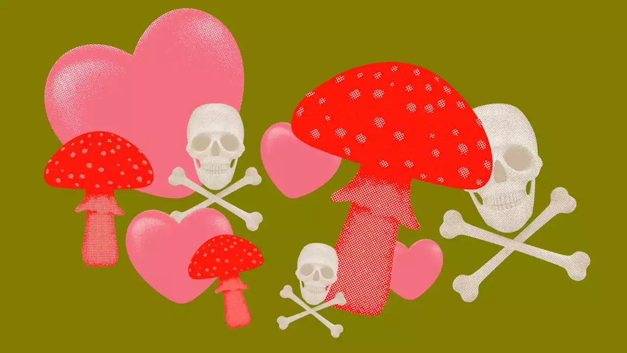 Meet the Woman Using Magic Mushrooms for End-of-Life Anxiety