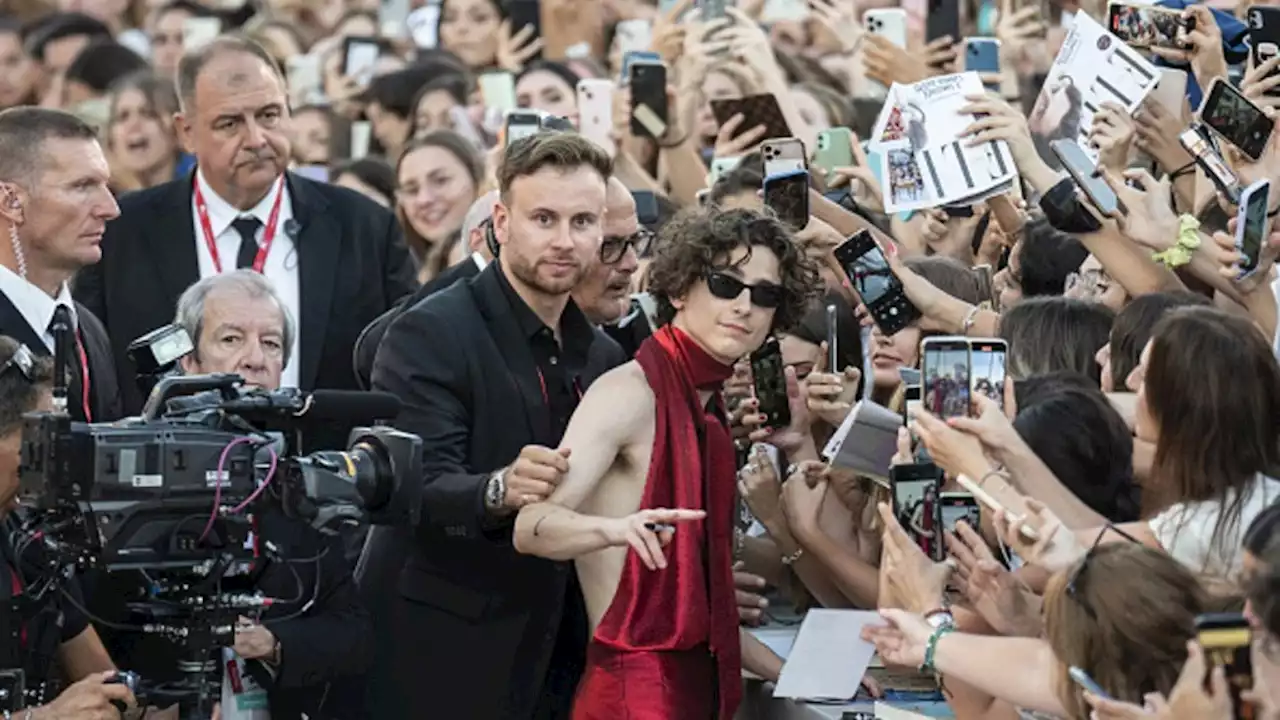 Venice: Broadcasters Protest “Unprecedented” Restrictions on Red Carpet, Press Conference Coverage