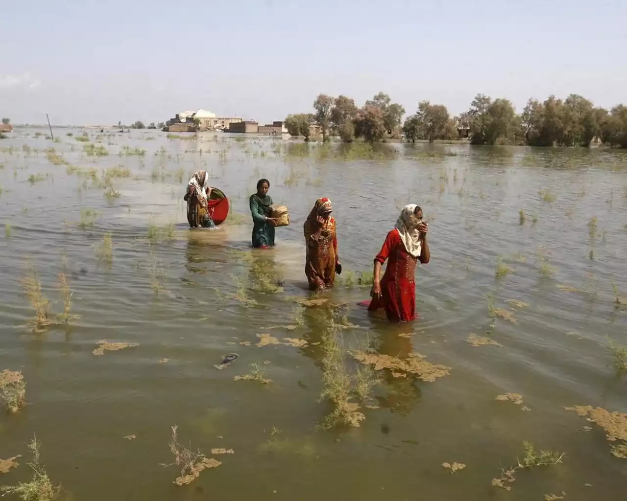 ‘Beautiful, one-of-a-kind cities are under water:’ Floods in Pakistan worry Canadians