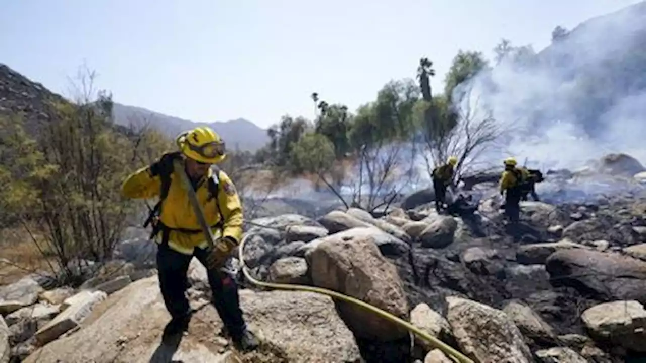 Thousands flee as California blaze injures residents, destroys homes