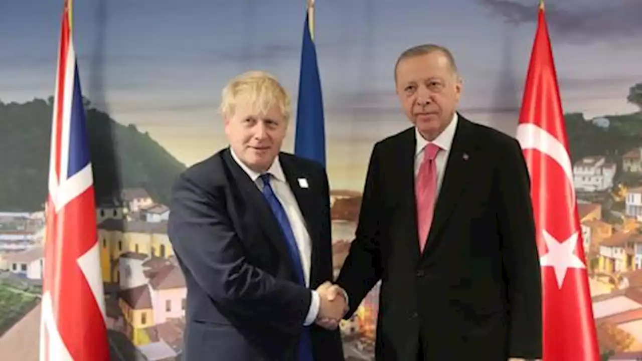 Turkish president, outgoing UK prime minister discuss bilateral ties