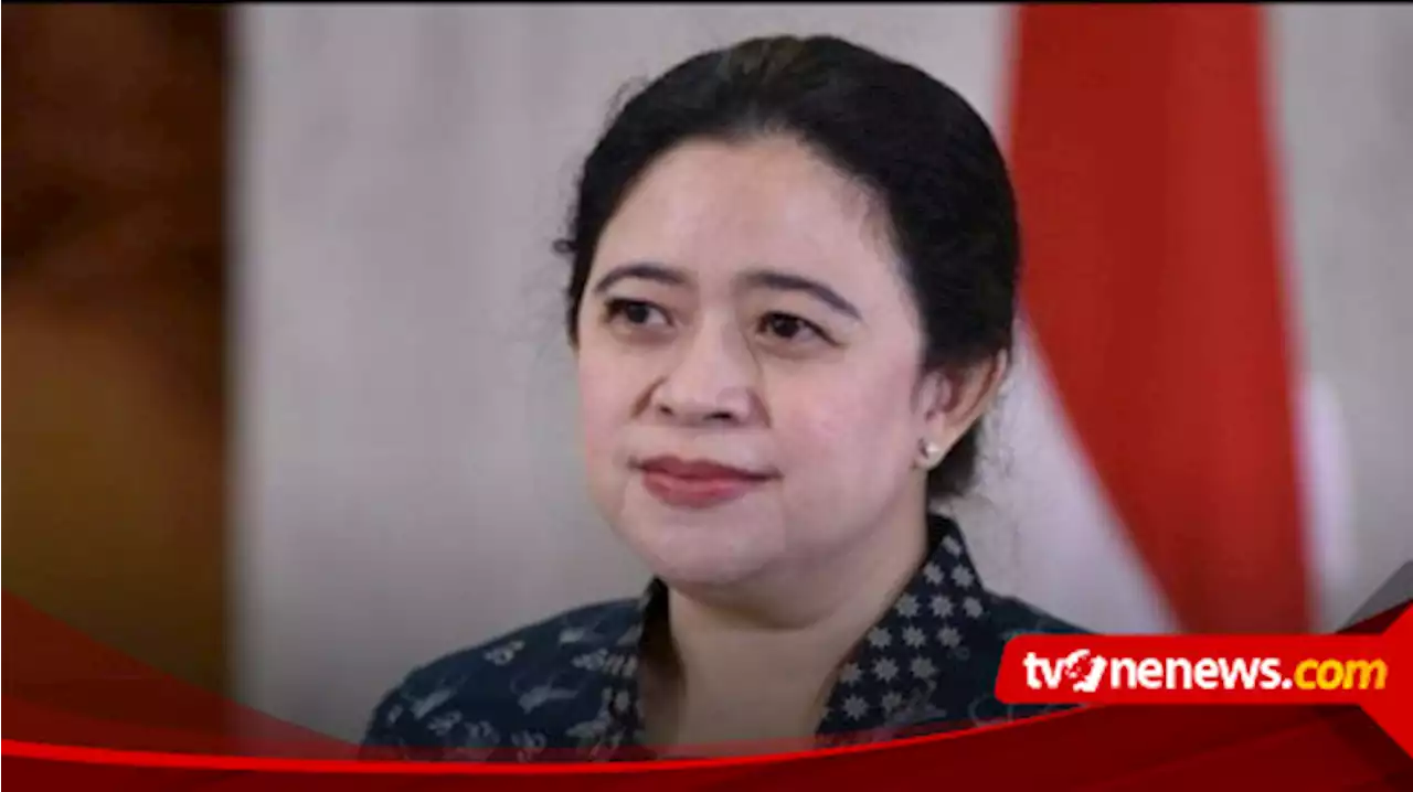 Hasto Kristtiyanto Sentil Kader PDI Perjuangan Effendi SImbolon yang Sebut Status Puan Maharani Belum Jelas Capres