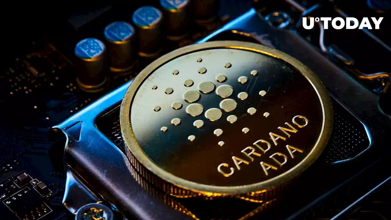 Cardano Has One Project per Day Built on It with Total Number of 1,076