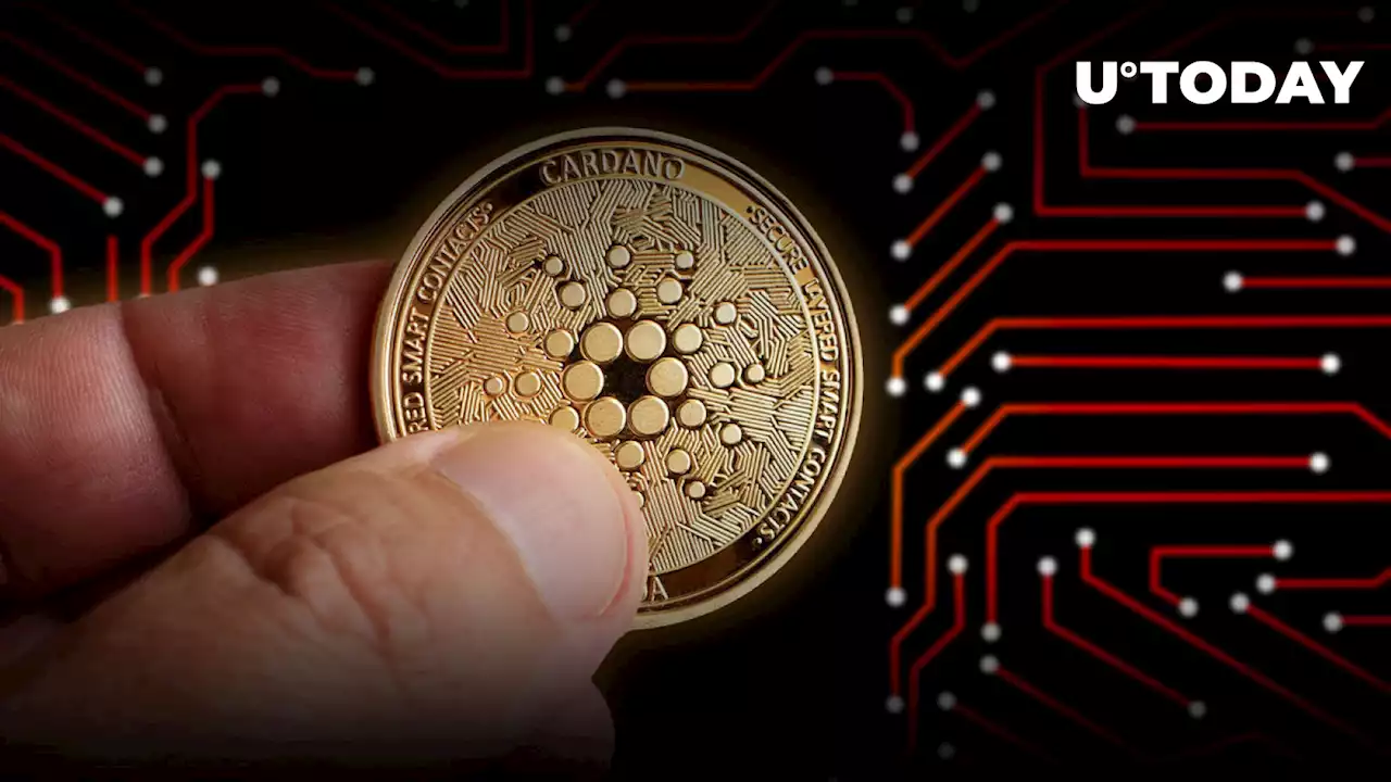 Cardano Sets New Milestone in Native Tokens Issued Following On-chain Growth in August