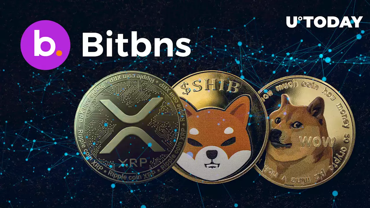 XRP, Dogecoin and Shiba Inu Futures Now Supported by Indian Crypto Exchange Bitbns