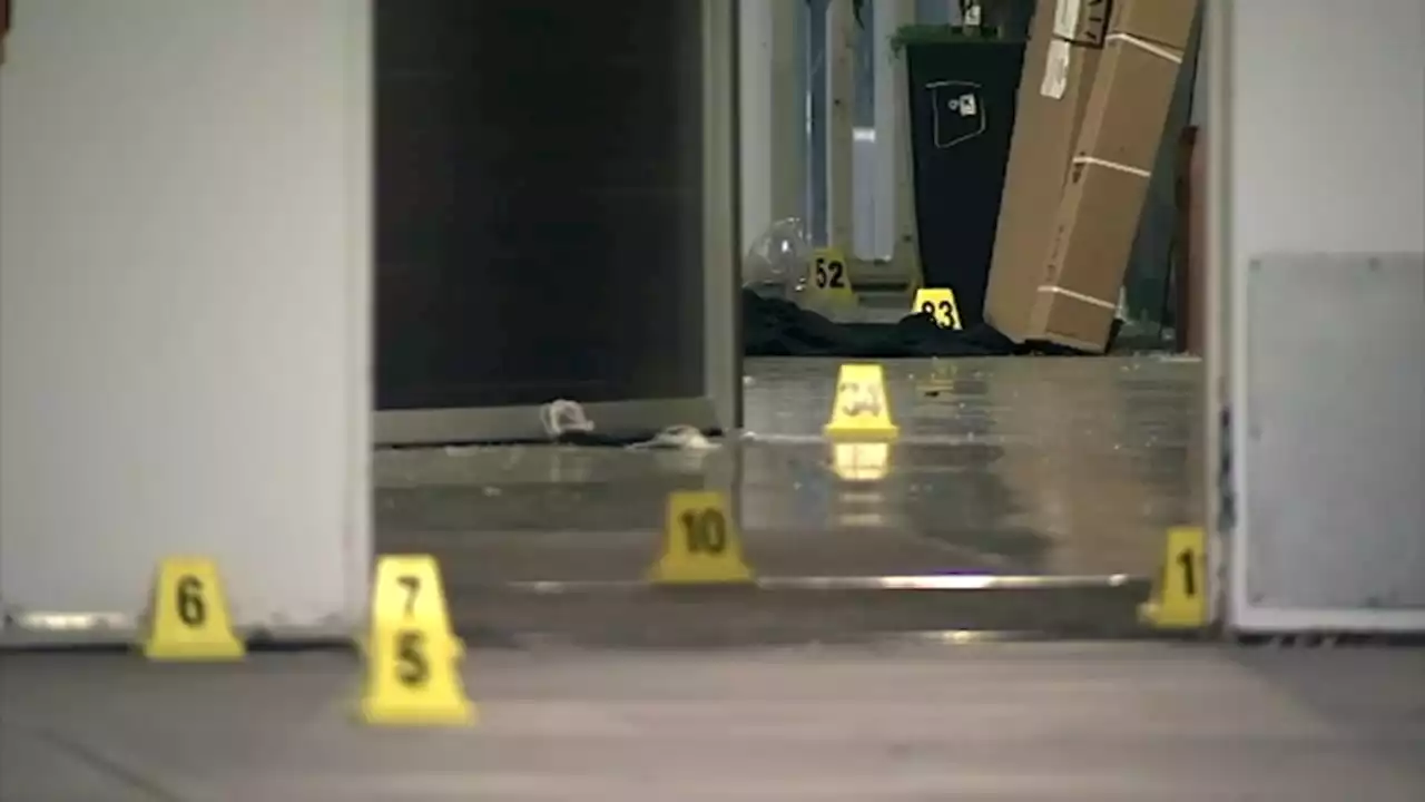 Could CA's red flag laws hold key to solving Oakland's gun problem?