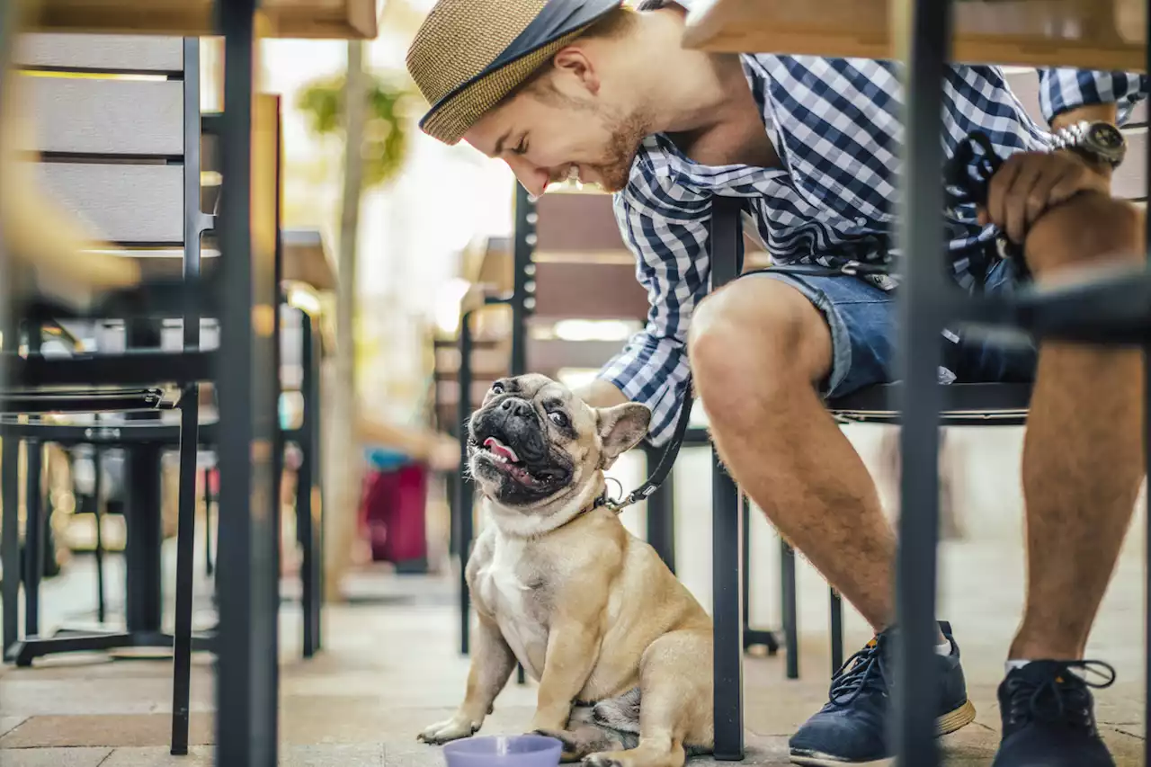 The 10 Most Dog-Friendly Cities in the U.S. — Best Life