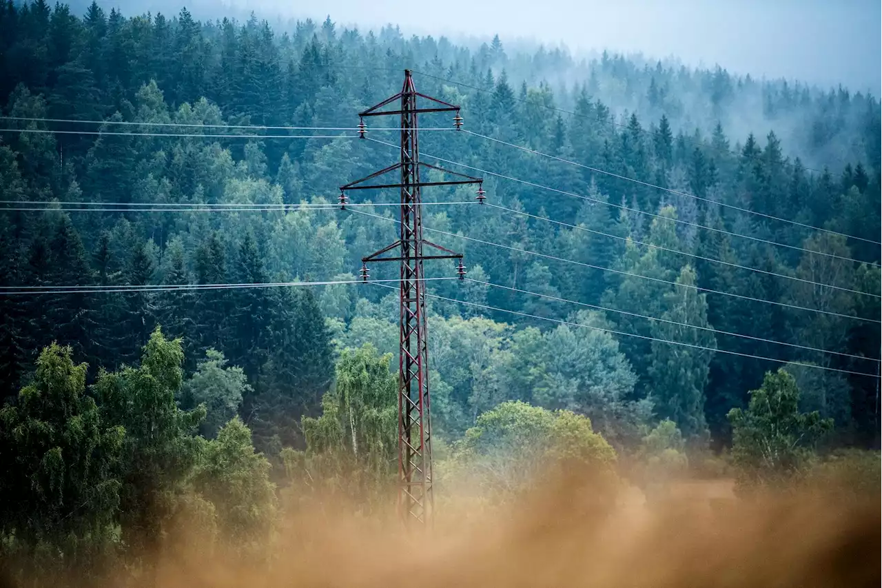 Stort fall i strømprisen – under én krone i hele Norge
