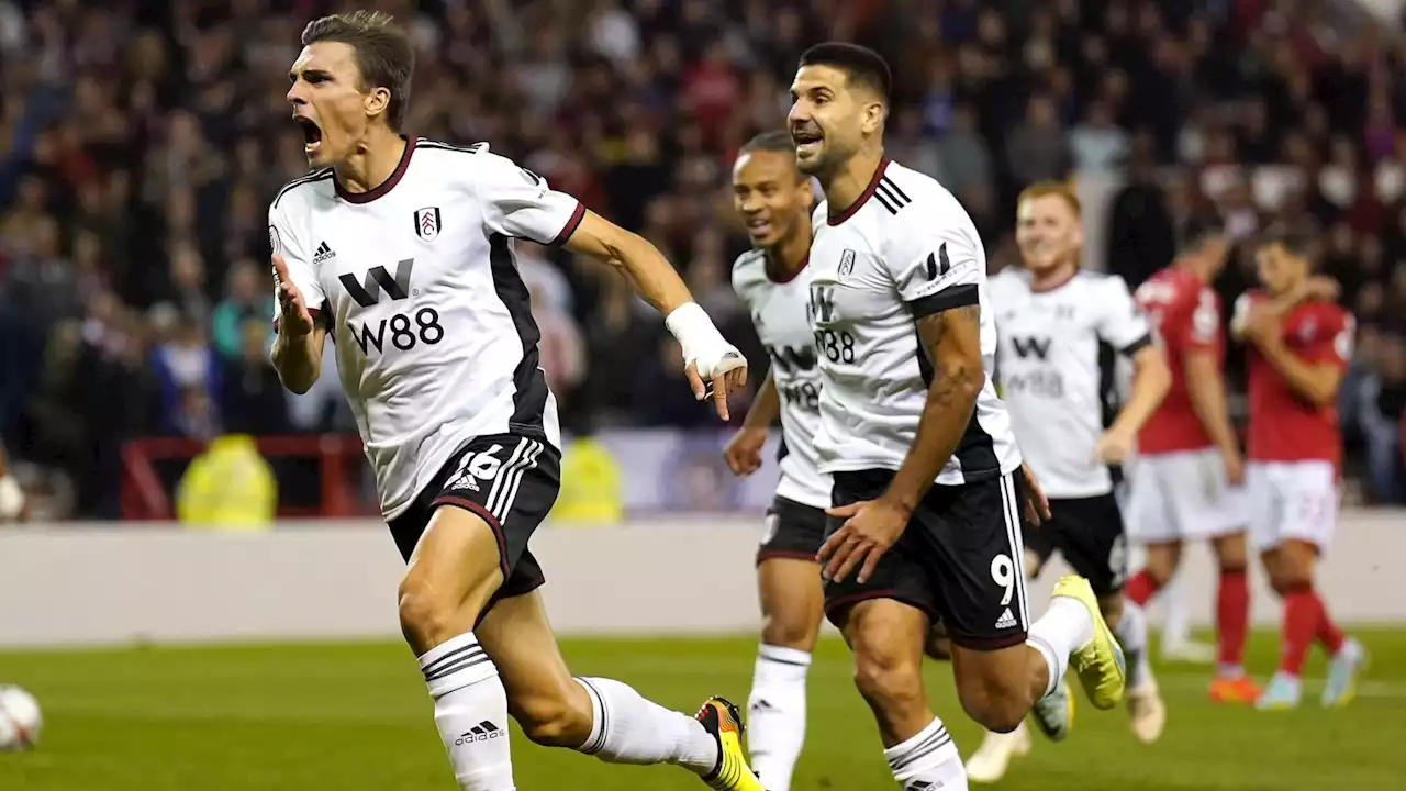 Joao Palhinha is the Premier League bargain of the season so far for Fulham