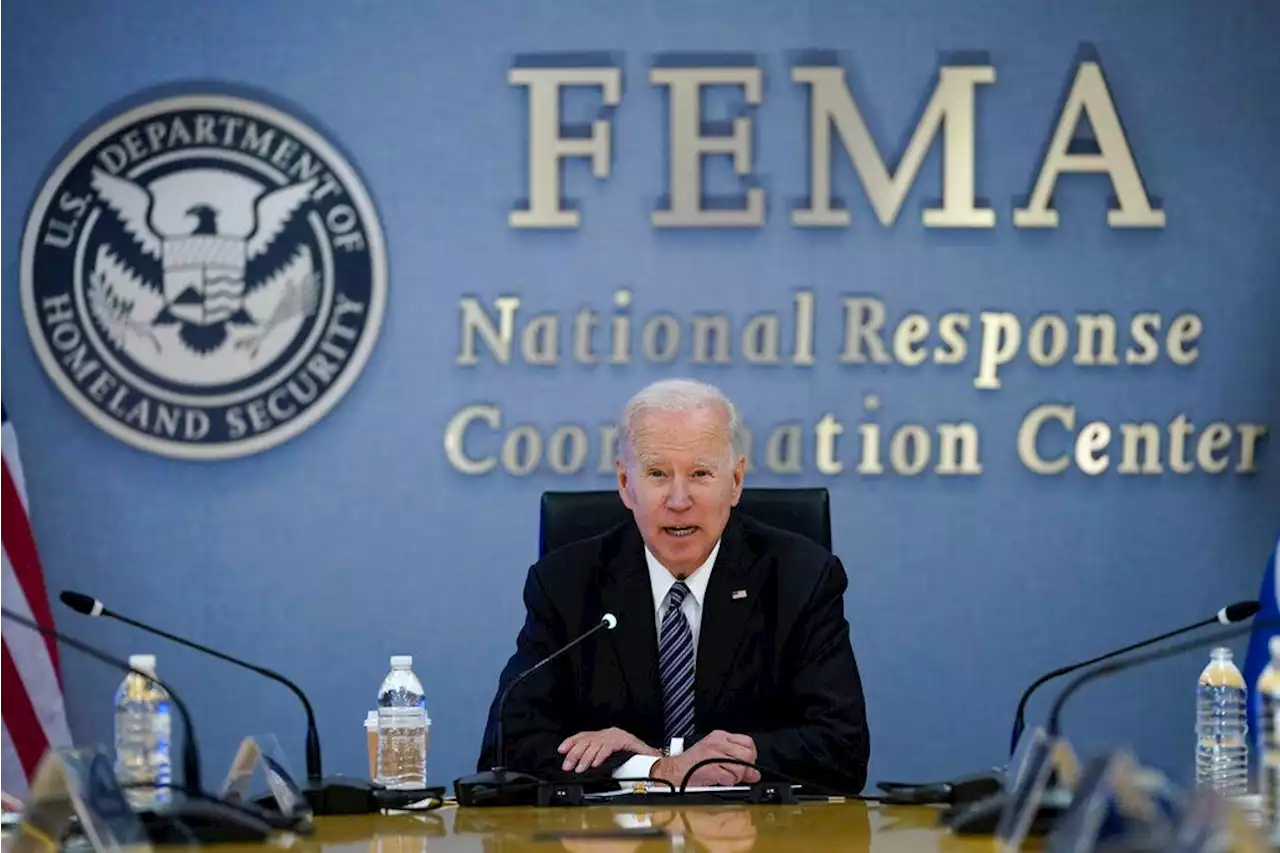 Former FEMA director Michael Brown calls on media to 'lower the temperature' on Hurricane Ian coverage