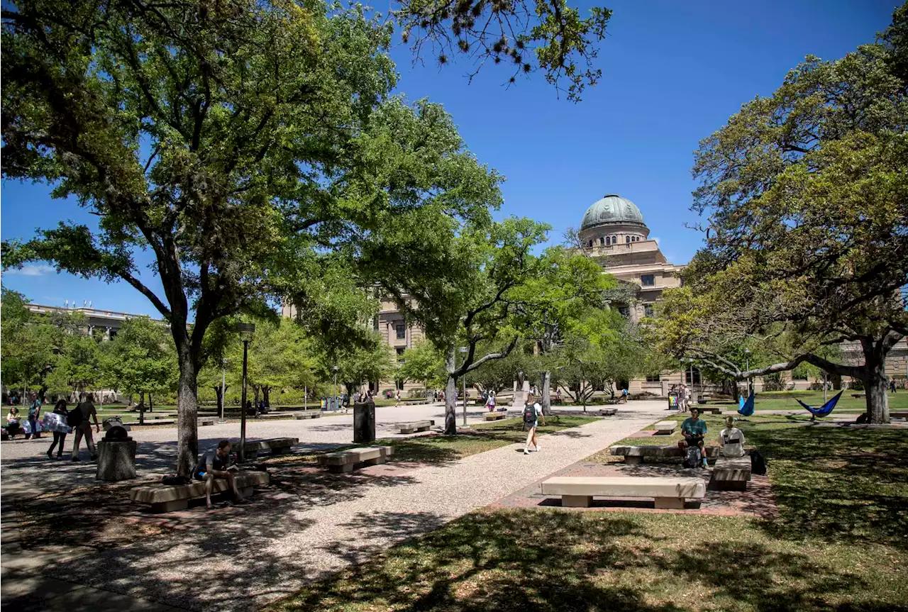 Which degrees are the most popular at Texas colleges and universities?